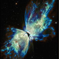 Butterfly Nebula (Radio Edit) - CENTER MASS Center Mass Universe