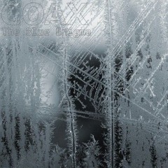 COAX - BLUE DAY