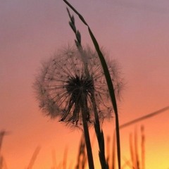 In the Factory's light.v2