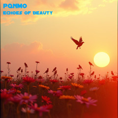 Echoes of Beauty