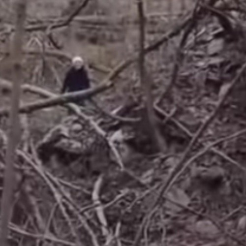 Free type beat Russian sleep experiment prod. grimkidd.mp3