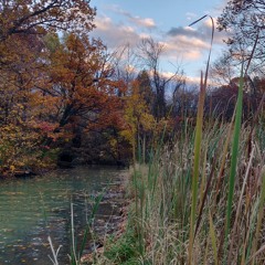 fall