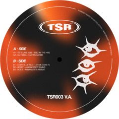 A1 - De Sluwe Vos - Beez In The Hive [SNIPPET]