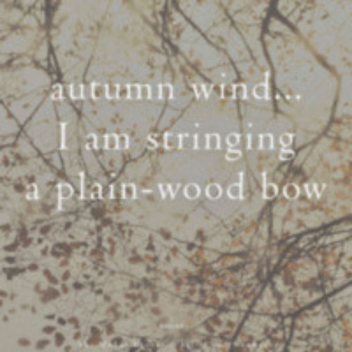 Autumn Wind [naviarhaiku 563]