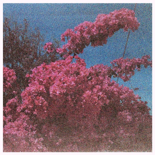 ELISABETH KLINCK - Winter Song (HG2303)