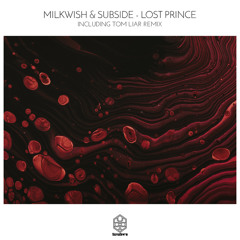 Lost Prince (Tom Liar Remix)