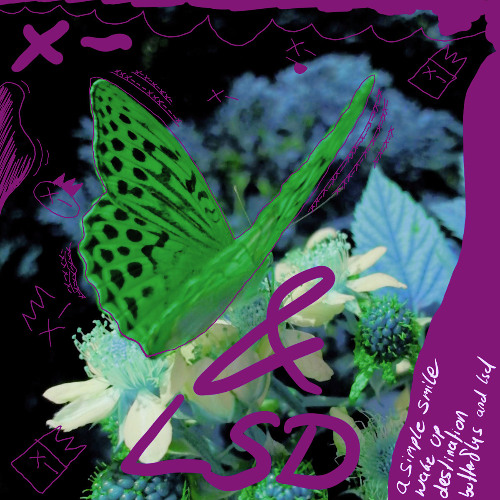 ''SET" Butterflys and LSD