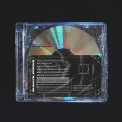Inside Blur & DJ Varsovie - Amour Assassin (IV Horsemen Remix)