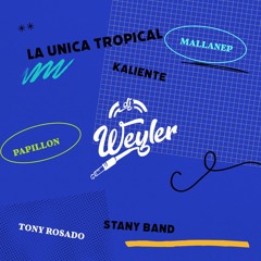 MIX - TATTO LA UNICA TROPICAL - PAPILLON - MALLANEP - KALIENTE - TONY ROSADO DJ WEYLER 2K24