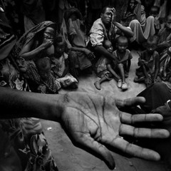 Torop - Тоже Может