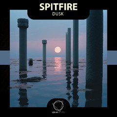 Spitfire - Capture Me (Lizplay Records)