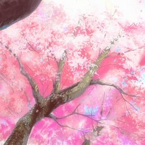 Sparta LoFi Base