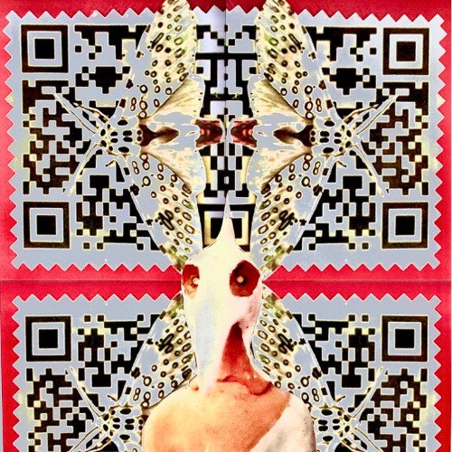 from chaos to harmony