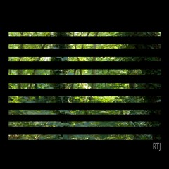 RTJ///002 (Echos Of Ava)