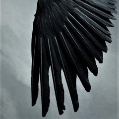 Raven (prod.jigoku)