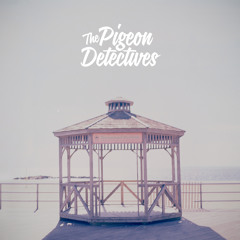 The Pigeon Detectives