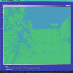 Into The Woods_Part 1