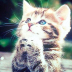 EL PISO PRENDO FUEGO ft. TUCA*