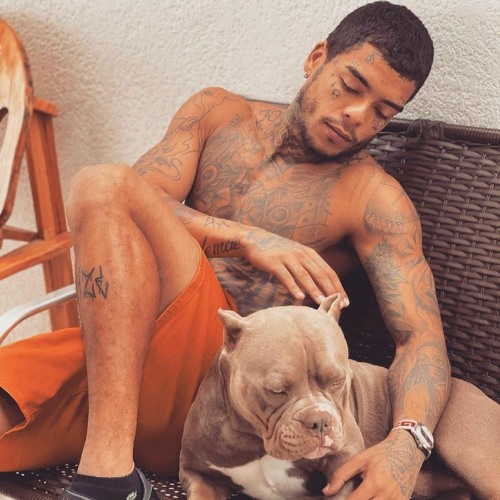 NÃO SEI, TALVEZ - TrapLaudo