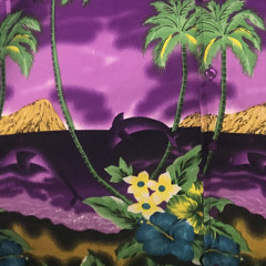 Cam$tarr - Paradise *UNRELEASED*