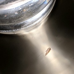 CREED - ONE LAST BREATH - MINI KARAOKE ATTEMPT