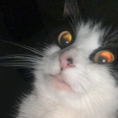 Future Dub (FREE DOWNLOAD)