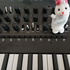 panikhase