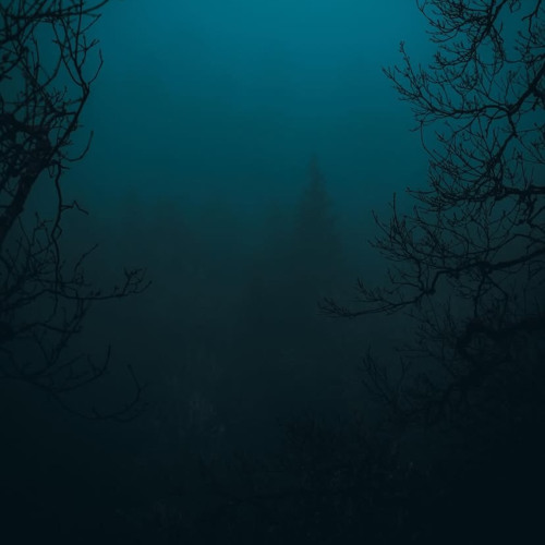 Search