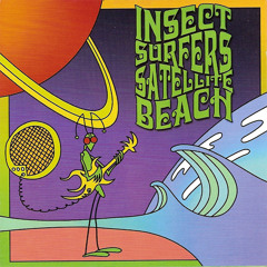 Insect Surfers — Polaris