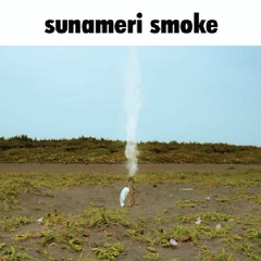 PAS TASTA - sunameri smoke (skyLtraxx remix)