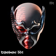 EXPERIMENT 5511 (free download)