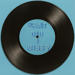 Drake - What Did I Miss? (C. Loubs Edit)