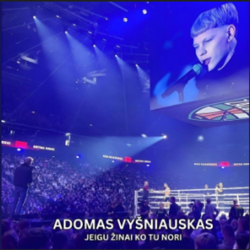 Adomas Vysniauskas - Jeigu Zinai Ko Tu Nori (AIDAS IGARSA remix) (DEMO)