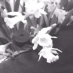 dean blunt & elias rønnenfelt - 9