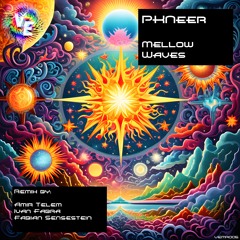 PREMIERE: PKNeer ─ Mellow Waves (Amir Telem Remix) [Viva Electronica Music]