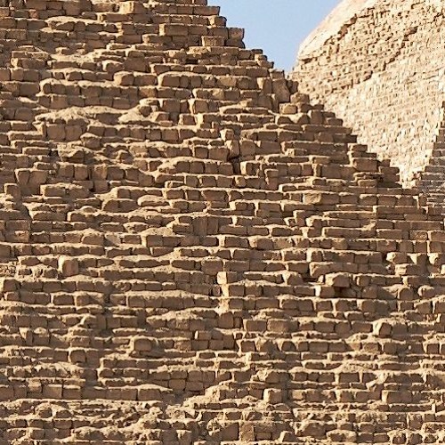 You Must Adore Your Muse <2019>