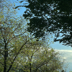giving tree