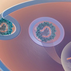 Navigating the Regulatory Terrain during Cell & Gene Therapy Production
