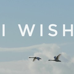 I Wish Feat. Xtiina