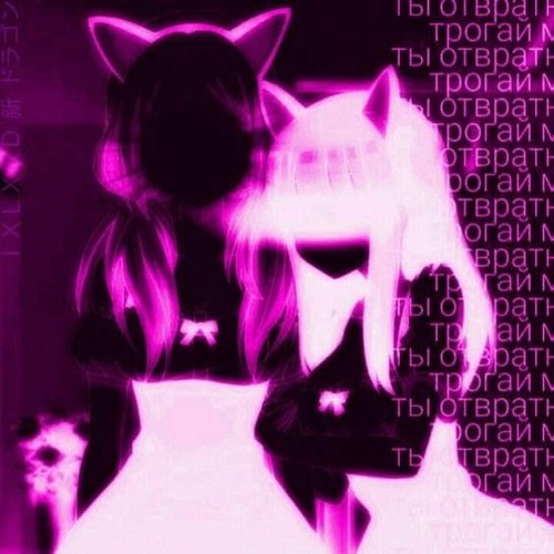 SCXRD X D4C-Sekusu
