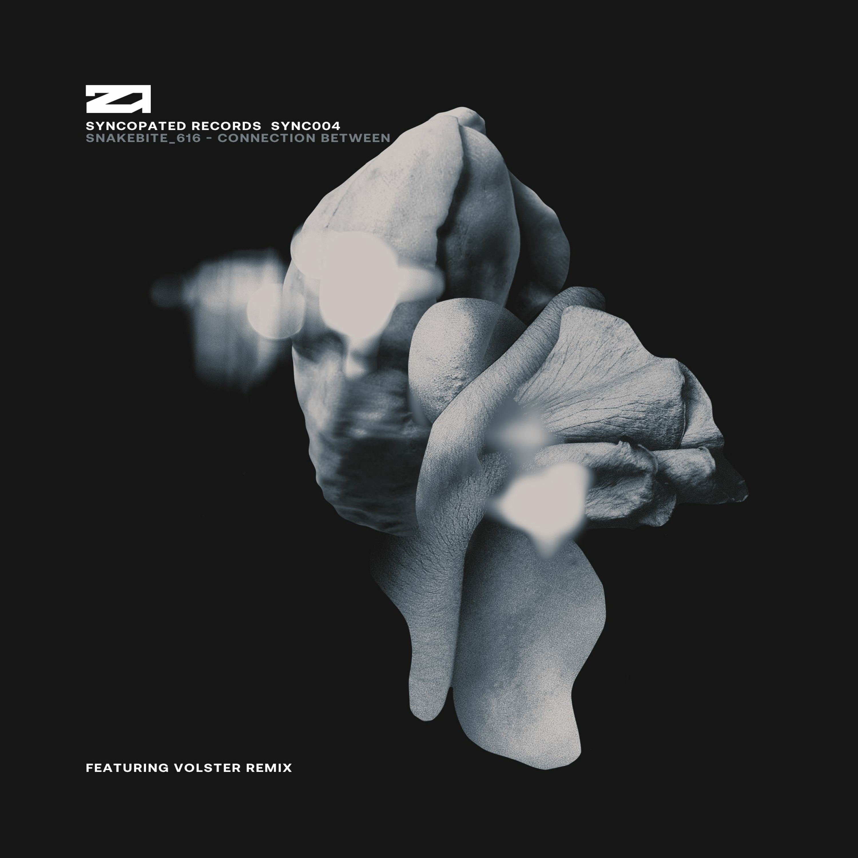Four Four Premiere: Snakebite 616 - Finding Light [Syncopated Records] episode artwork