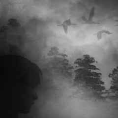 blood club - gloom (doomr edit) SPED UP