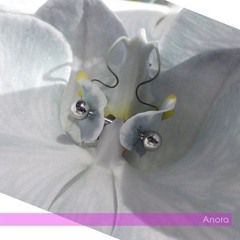 Anora