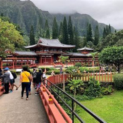 Review Special Price Oahu Circle Island Tour With Byodo-In Temple Admission