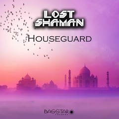 02 - Lost Shaman - Exposing Depths