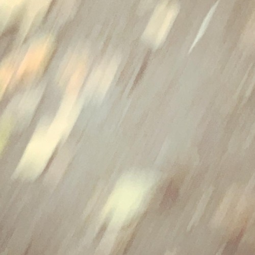 woke up with the smell of sea breeze, you were kissing me