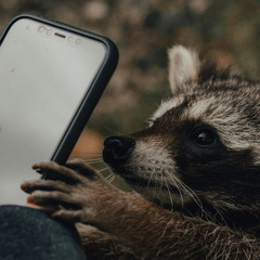 Fête de la Musique 2025 @Bühne am Bagdad Döner Greifswald