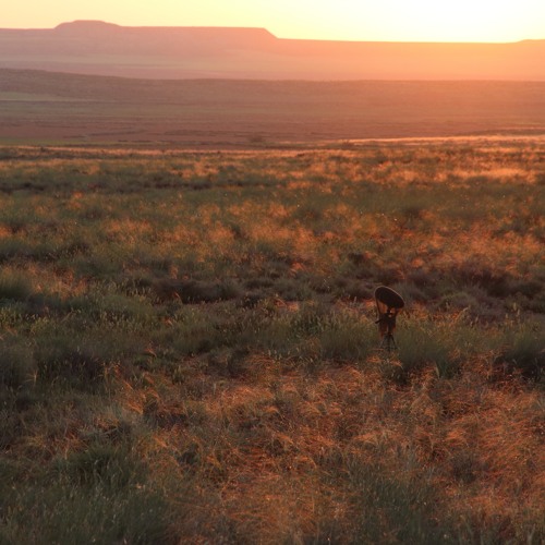 before dawn on the Ebro steppe