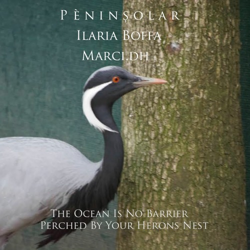Marci.dh Ilaria Boffa P è n i n ș o l a r - The Ocean Is No Barrier Perched By Your Herons Nest