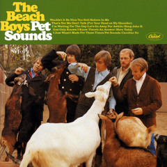The Beach Boys – The Pet Sounds Sessions The Pet Sounds Sessions - The Beach Boys | Album | AllMusic